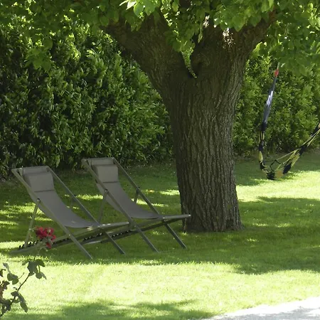 Bed and Breakfast Campodisole