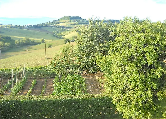 住宿加早餐酒店 Campodisole 奥西莫